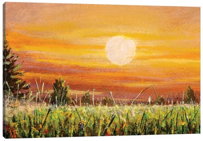 Beautiful Warm Sunset Dawn Over Green Field Canvas Art Print - Valery Rybakow