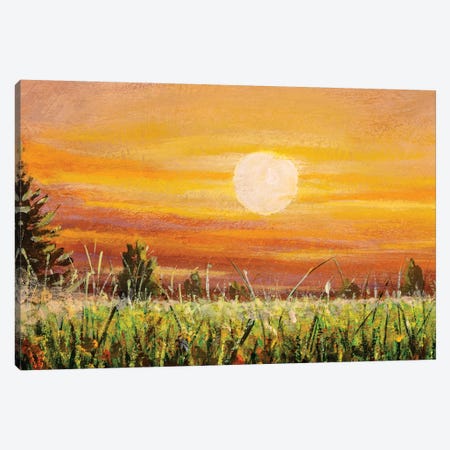 Beautiful Warm Sunset Dawn Over Green Field Canvas Print #VRY348} by Valery Rybakow Canvas Print