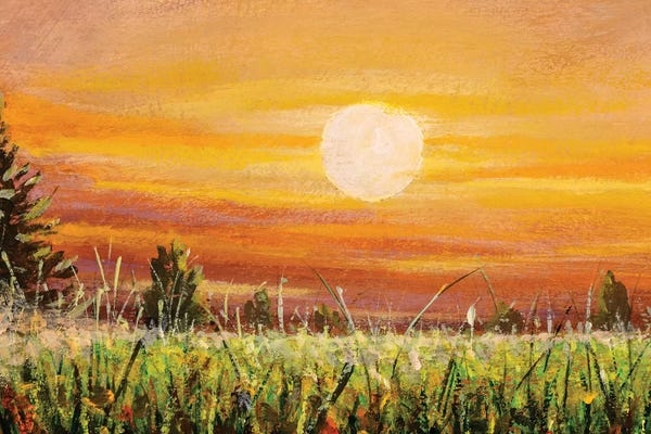 Beautiful Warm Sunset Dawn Over Green Field