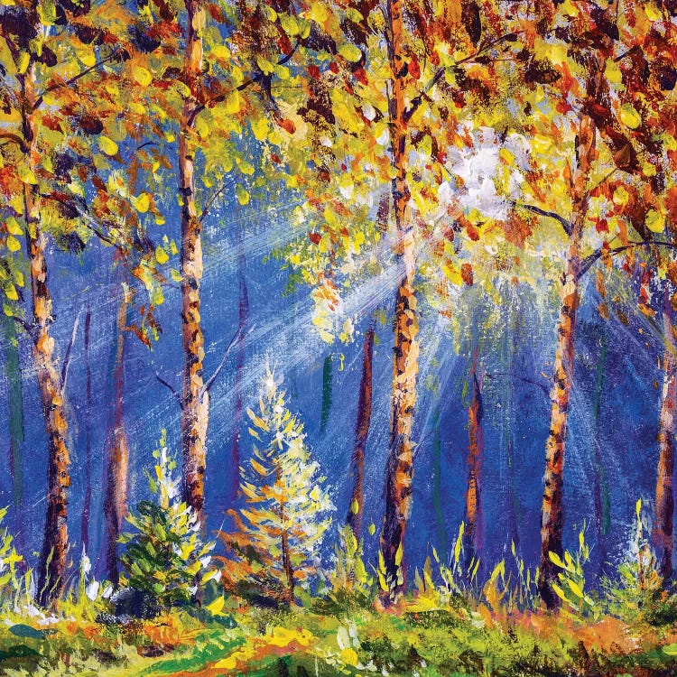 Autumn Trees In Wood Gold Orange Forest