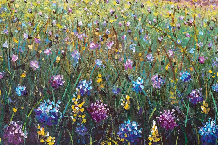 Blue, Yellow And Violet Flowers In Grass