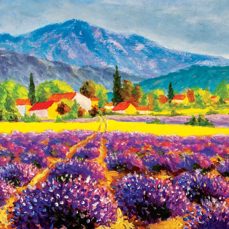 Rural Landscape In Summer Day In Provence, France