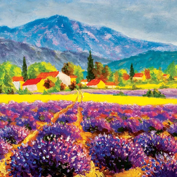 Herbs: Rural Landscape In Summer Day In Provence, France by Valery Rybakow