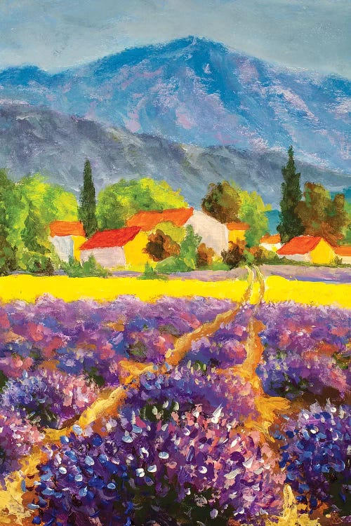 Italian Summer Countryside. Lavender Purple Field. French Tuscany