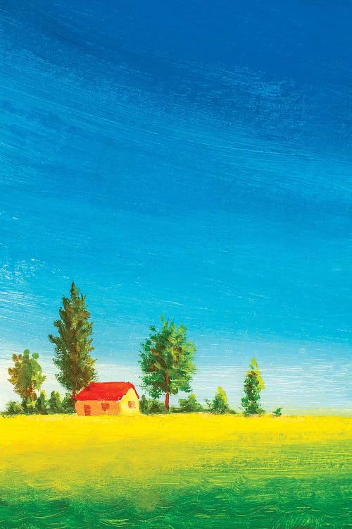 Beautiful House On Green Meadow by Valery Rybakow wall art