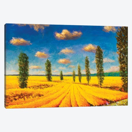 Farm Field Against Background Of Tall Cypress Trees Canvas Print #VRY369} by Valery Rybakow Canvas Print