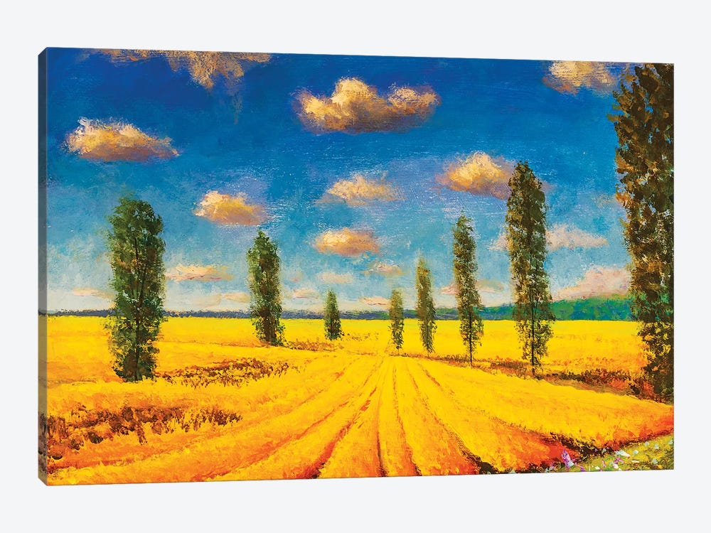 Farm Field Against Background Of Tall Cypress Trees by Valery Rybakow 1-piece Canvas Print
