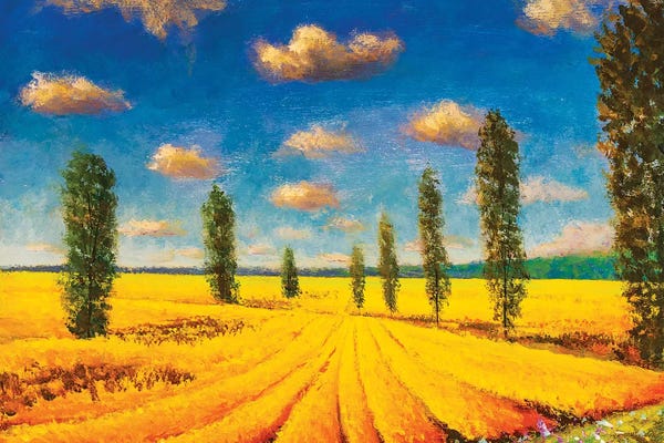 Countrysides: Farm Field Against Background Of Tall Cypress Trees by Valery Rybakow