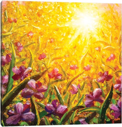 Pink Purple Flowers, Beautiful Field Flowers Canvas Art Print - Valery Rybakow
