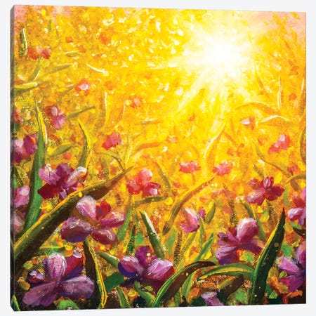 Pink Purple Flowers, Beautiful Field Flowers Canvas Print #VRY387} by Valery Rybakow Canvas Artwork