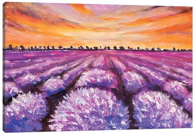 French Lavender Field Canvas Art Print - Valery Rybakow