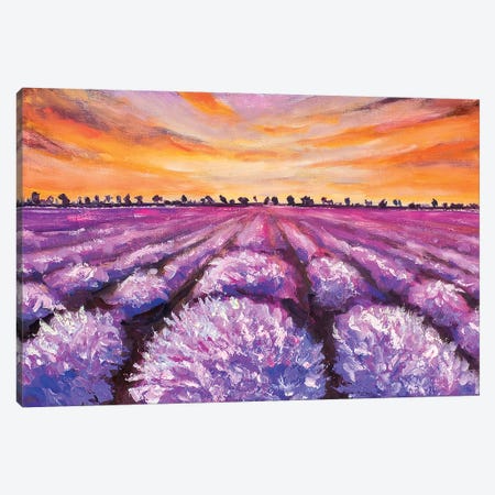 French Lavender Field Canvas Print #VRY38} by Valery Rybakow Art Print