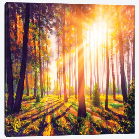 Spring Forest Trees. Nature Green Wood Sunlight Background Canvas Print #VRY391} by Valery Rybakow Canvas Art