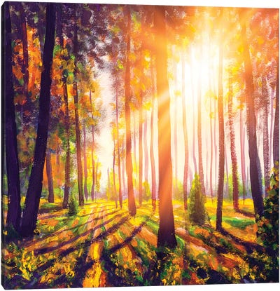 Spring Forest Trees. Nature Green Wood Sunlight Background Canvas Art Print - Valery Rybakow
