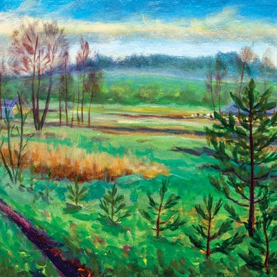 Green meadows fields foggy forest hill by Valery Rybakow canvas print