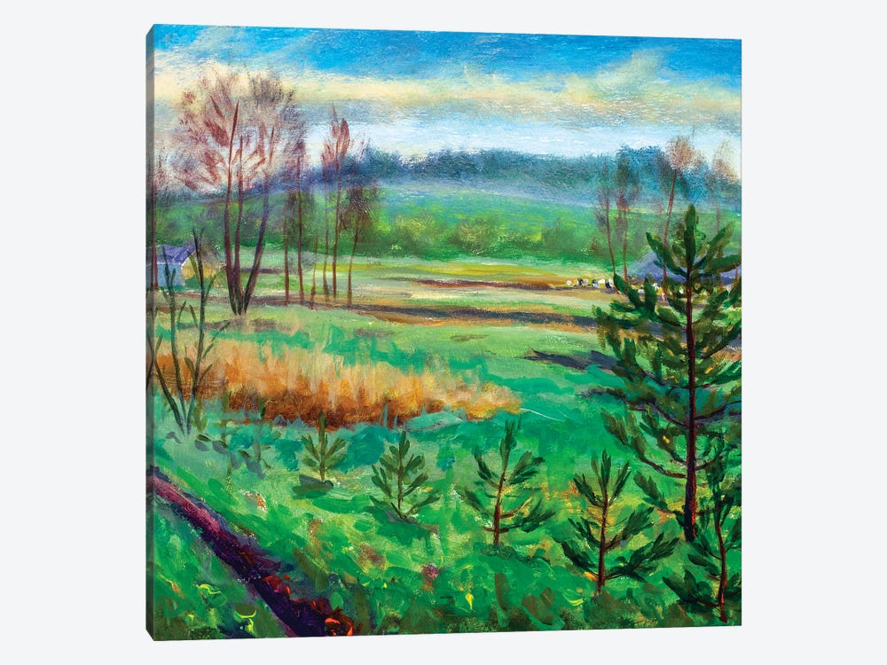 Green meadows fields foggy forest hill by Valery Rybakow 1-piece Canvas Print