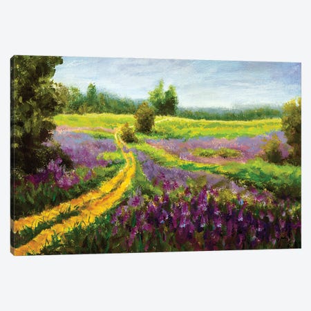 Purple Flowers Field Canvas Print #VRY395} by Valery Rybakow Canvas Art Print