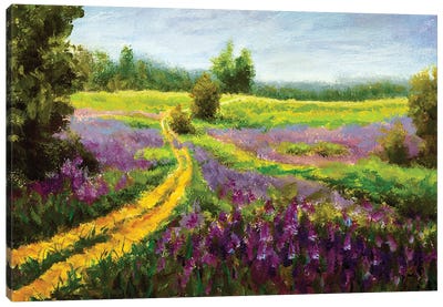 Purple Flowers Field Canvas Art Print - Valery Rybakow