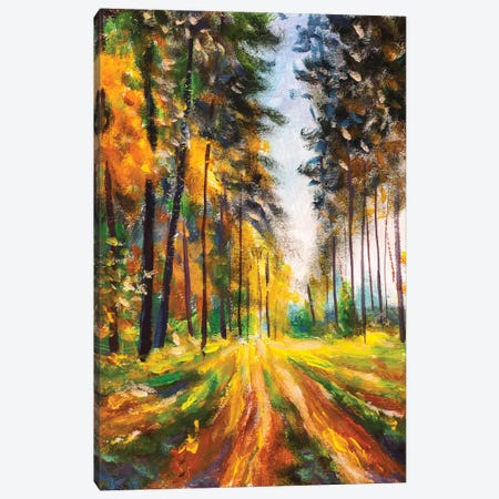 Autumn Spring Forest In Morning Sunlight Canvas Print #VRY397} by Valery Rybakow Canvas Art Print