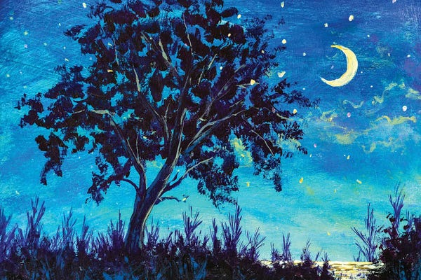 Starry Night Sky With Crescent Moon And Lonely Tree