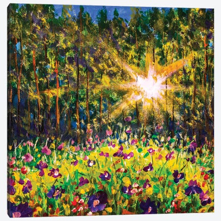Forest Glade In Sunlight Canvas Print #VRY402} by Valery Rybakow Canvas Artwork