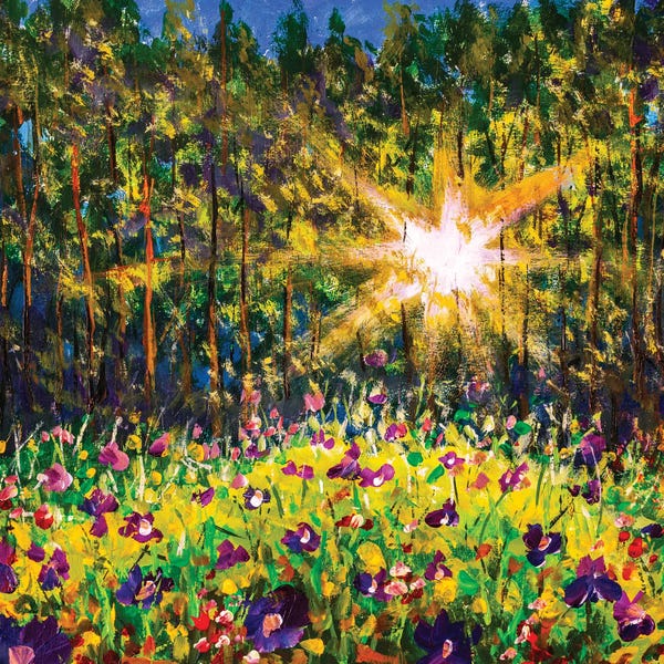 Forest Glade In Sunlight