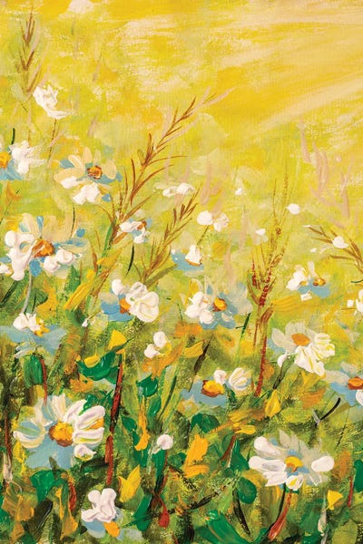 Valery Rybakow: Chamomiles In Sun Flares by Valery Rybakow