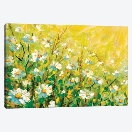 Daisy flowers field wide background in sunlight. Canvas Print #VRY409} by Valery Rybakow Canvas Art