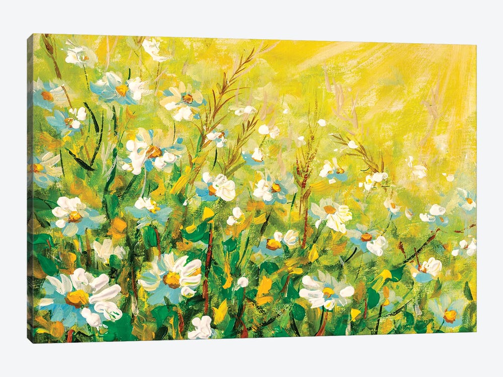 Daisy flowers field wide background in sunlight. by Valery Rybakow 1-piece Canvas Artwork