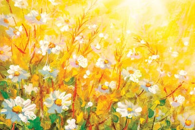 Meadow in spring and summer under the sun. by Valery Rybakow canvas print