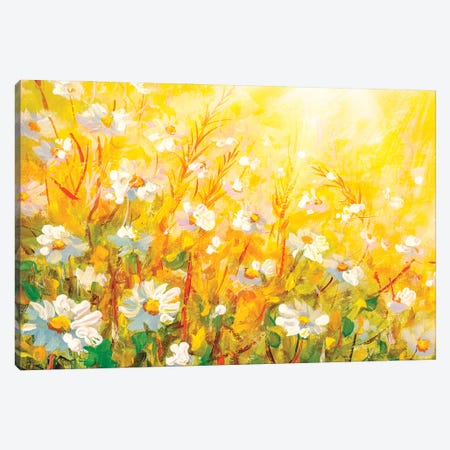 Meadow in spring and summer under the sun. Canvas Print #VRY410} by Valery Rybakow Art Print