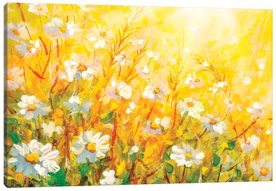 Meadow in spring and summer under the sun. Canvas Art Print - Valery Rybakow