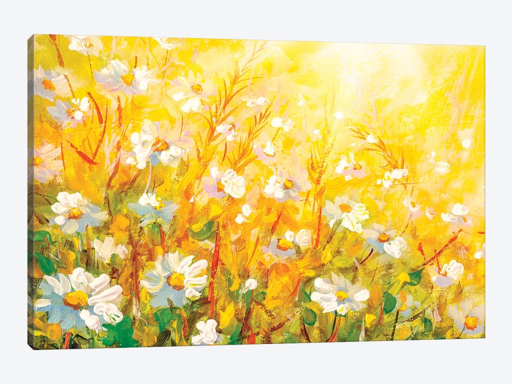 Meadow in spring and summer under the sun. by Valery Rybakow 1-piece Canvas Artwork