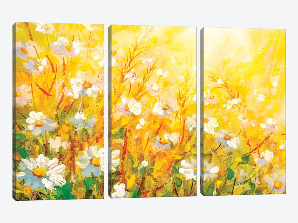 Meadow in spring and summer under the sun. by Valery Rybakow 3-piece Canvas Wall Art