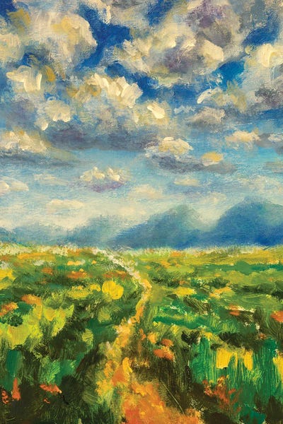 Sunny Day In The Mountains by Valery Rybakow canvas print