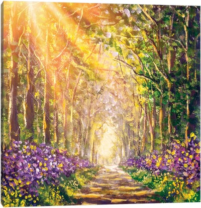 Spring Sunny Summer Forest Canvas Art Print - Ombres et Lumières