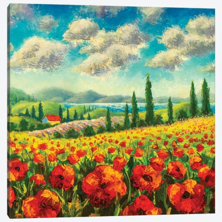 Summer Sunny Positive Landscape Fine Art Canvas Print #VRY431} by Valery Rybakow Canvas Print