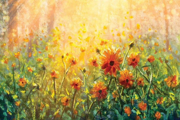 Flower Field In Forest Under The Morning Sunlight