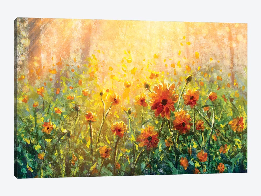 Flower Field In Forest Under The Morning Sunlight by Valery Rybakow 1-piece Canvas Print