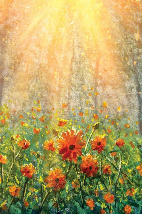 Vertical Cosmos Flowers Under Sunlight In The Field In Forest - Beautiful Flowers