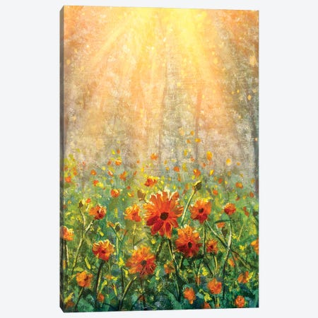 Vertical Cosmos Flowers Under Sunlight In The Field In Forest - Beautiful Flowers Canvas Print #VRY436} by Valery Rybakow Canvas Artwork