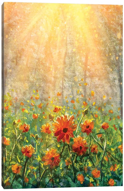 Vertical Cosmos Flowers Under Sunlight In The Field In Forest - Beautiful Flowers Canvas Art Print - Valery Rybakow