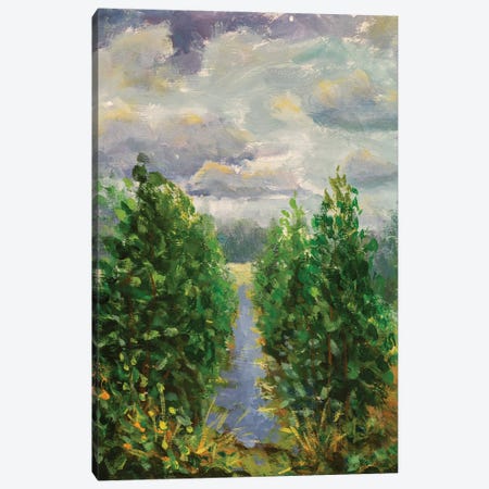 Green Trees Canvas Print #VRY446} by Valery Rybakow Art Print