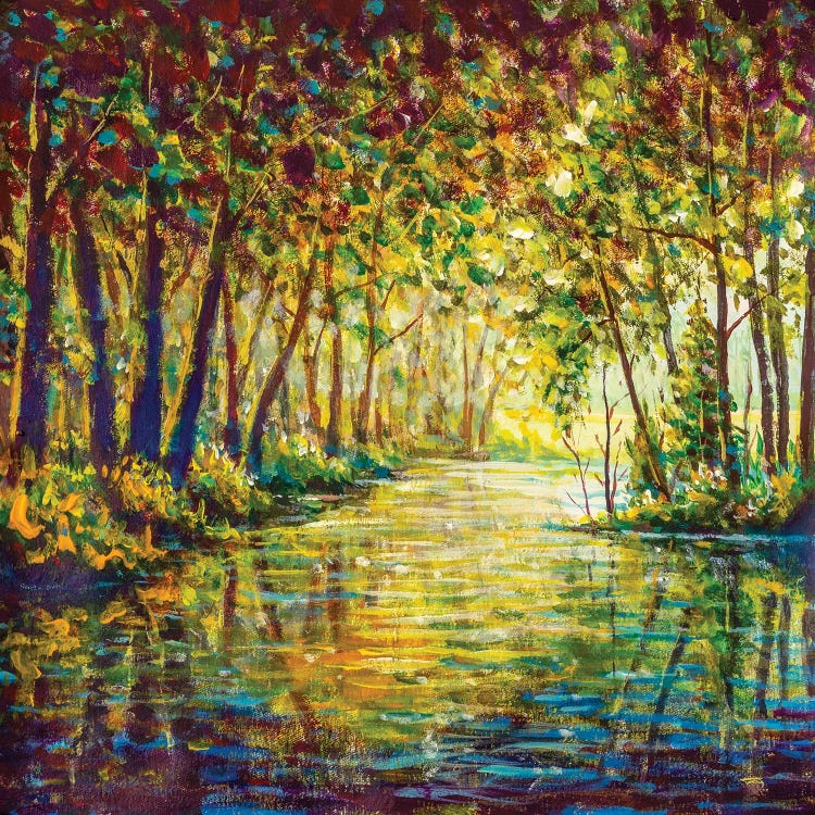 River In A Sunny Autumn Forest II