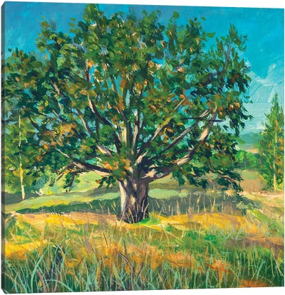 Big Old Oak Tree Canvas Art Print - Valery Rybakow