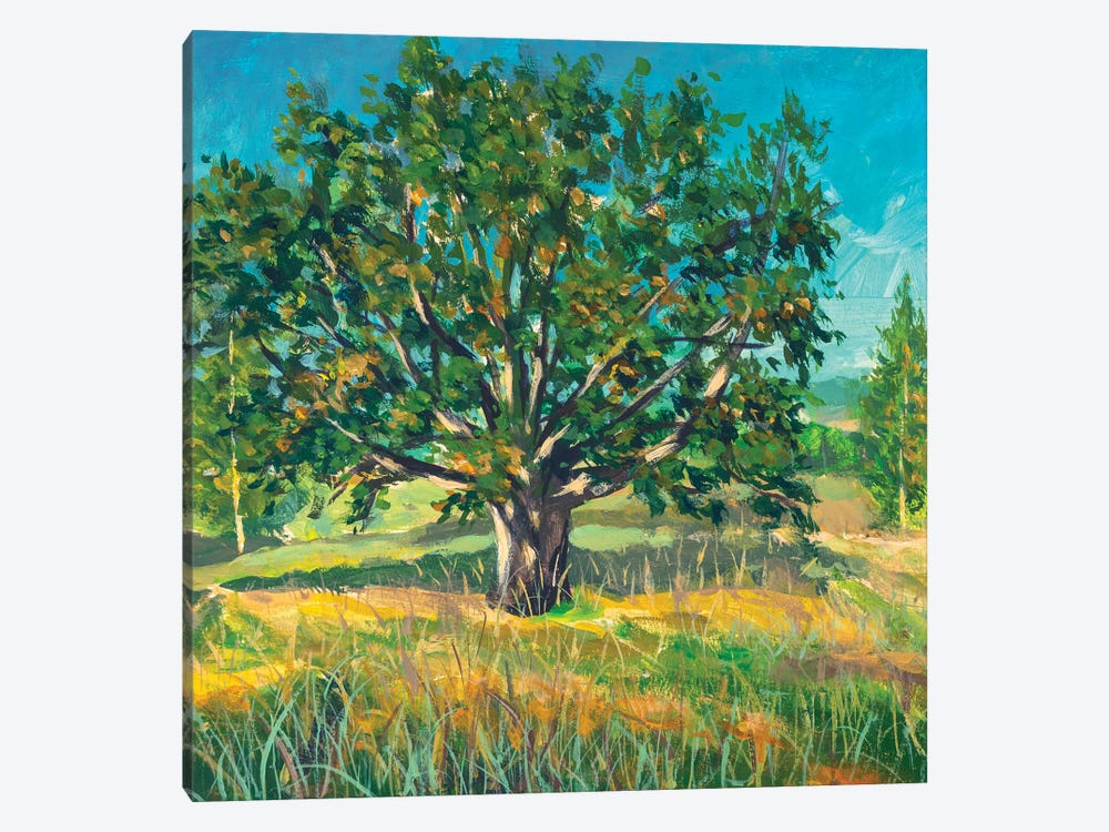 Big Old Oak Tree by Valery Rybakow 1-piece Canvas Art