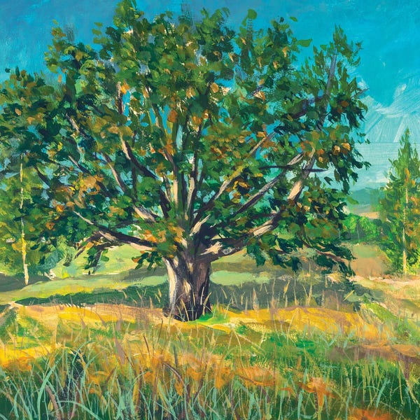 Valery Rybakow: Big Old Oak Tree by Valery Rybakow