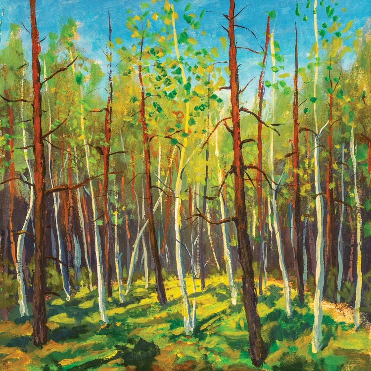Sunny Forest Landscape by Valery Rybakow wall art