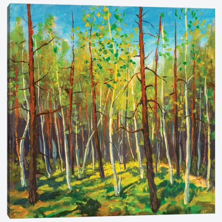 Sunny Forest Landscape Canvas Print #VRY455} by Valery Rybakow Canvas Art