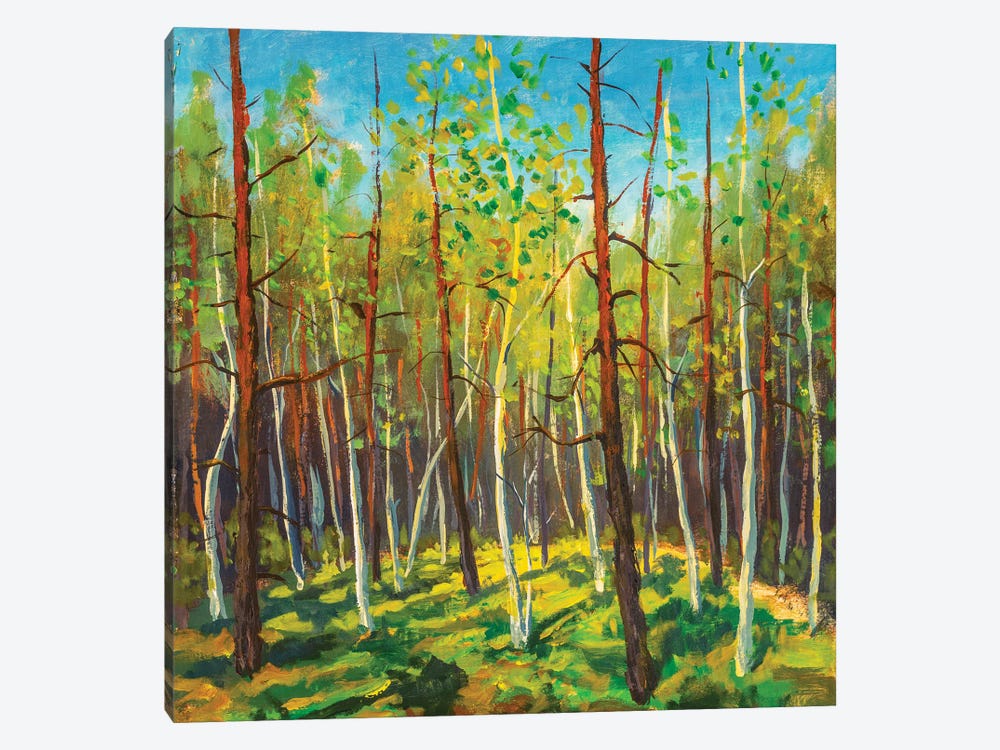 Sunny Forest Landscape by Valery Rybakow 1-piece Art Print